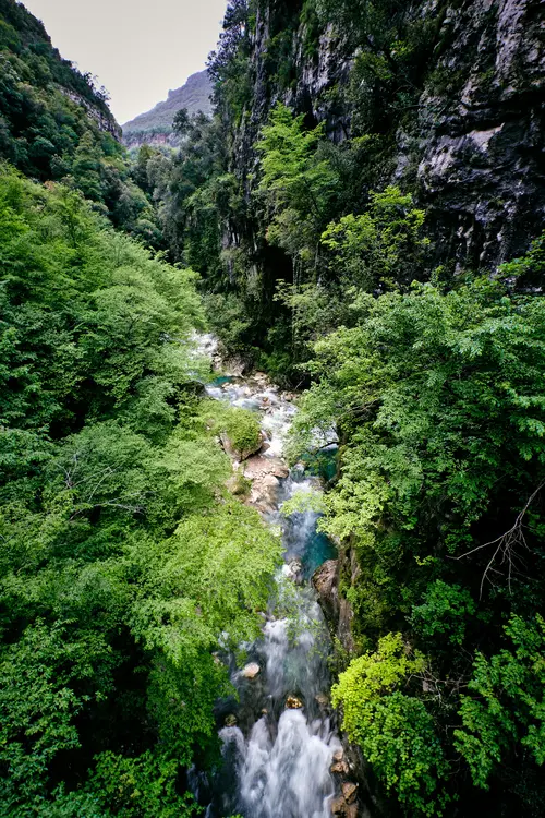 about vietnam
